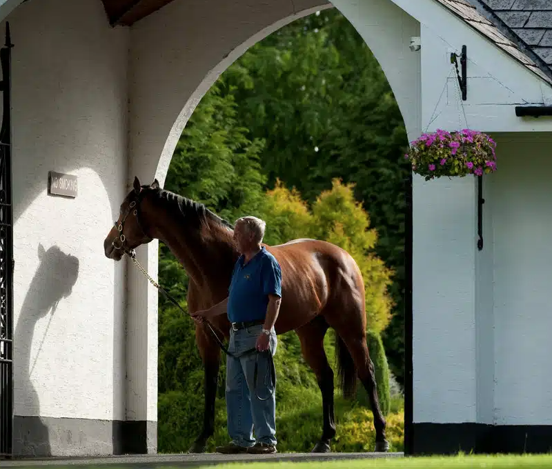 Thoroughbred Country